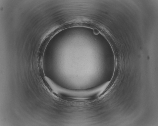 X0000066121018200603101230