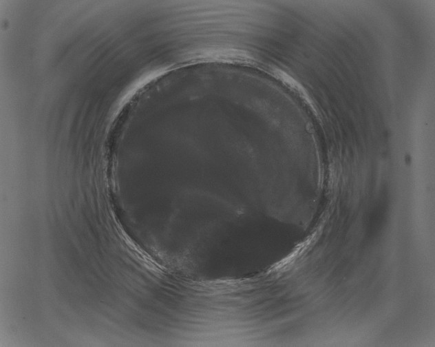 X0000066121019200603101230