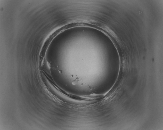 X0000066121020200603101230