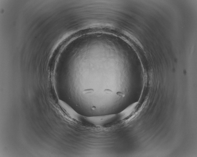 X0000066121021200603101230