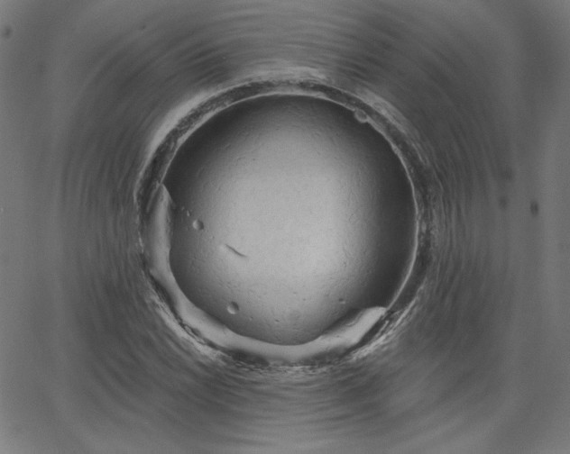 X0000066121022200603101230