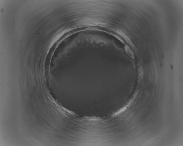 X0000066121023200603101230