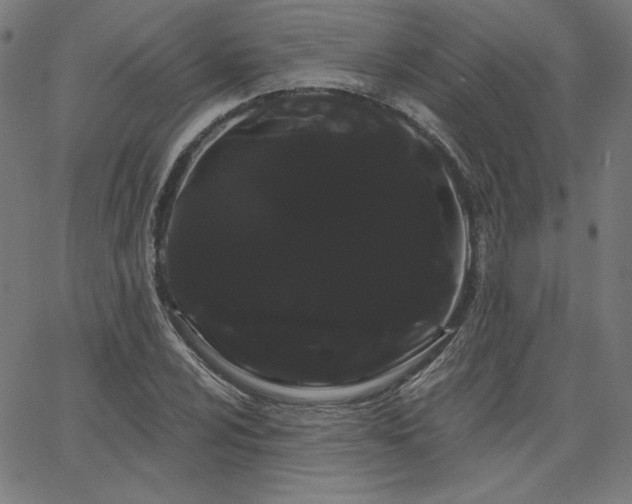 X0000066121024200603101230