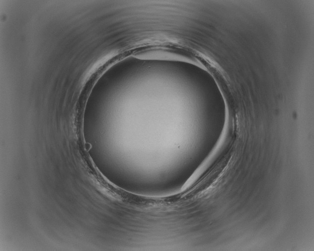 X0000066121026200603101230