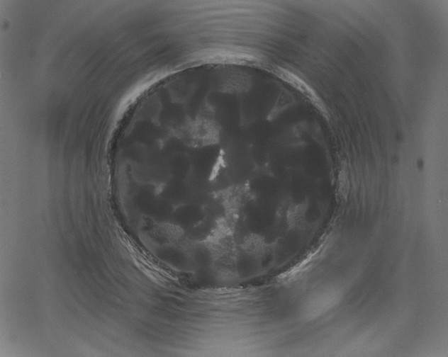 X0000066121027200603101230