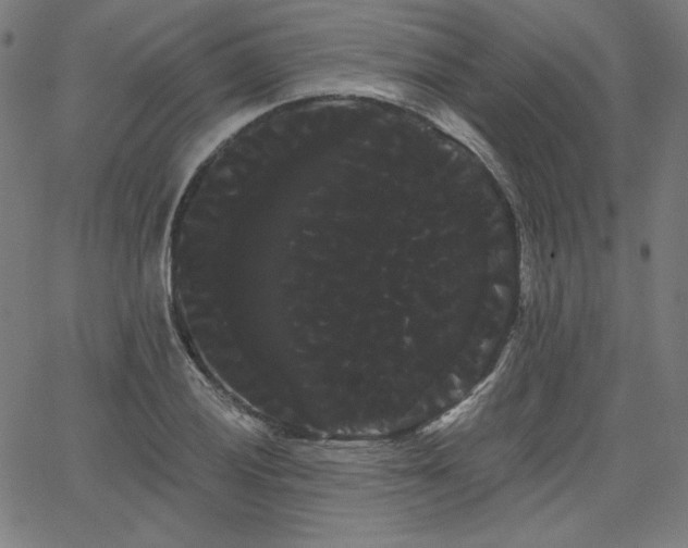 X0000066121028200603101230