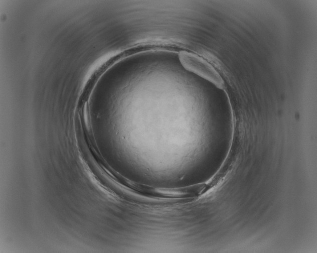 X0000066121030200603101230