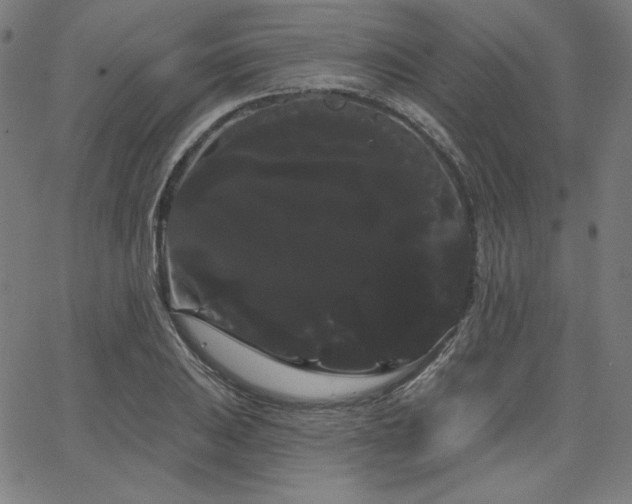 X0000066121031200603101230