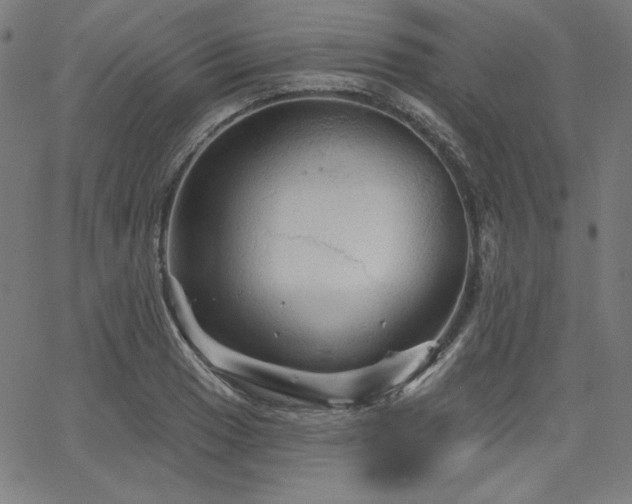 X0000066121033200603101230