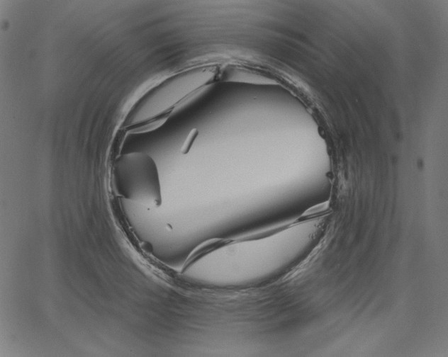 X0000066121034200603101230