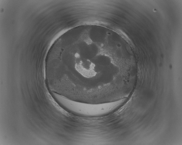 X0000066121036200603101230