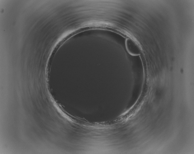 X0000066121037200603101230