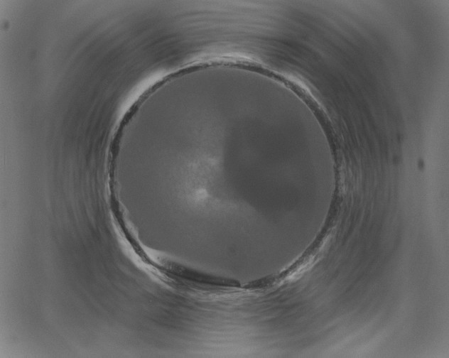 X0000066121038200603101230