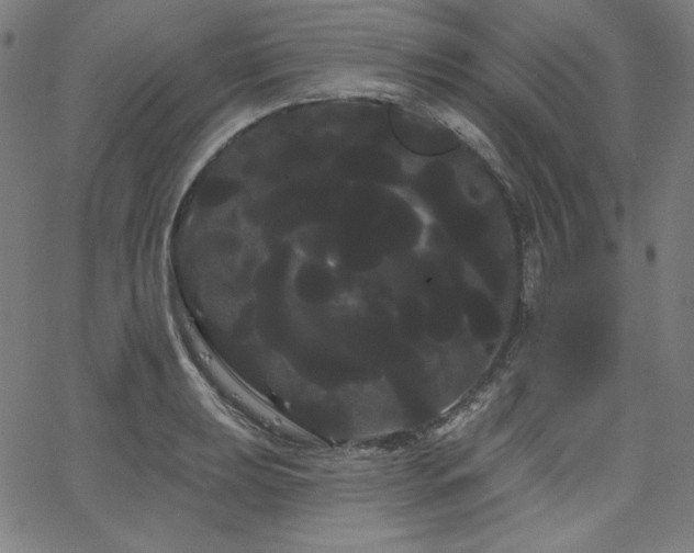 X0000066121039200603101230