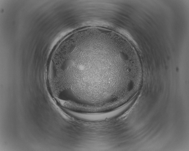 X0000066121040200603101230