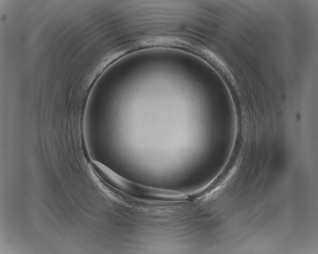 X0000066121041200603101230