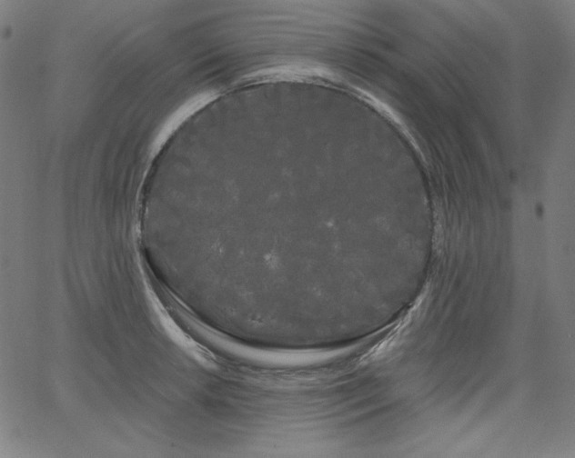 X0000066121042200603101230