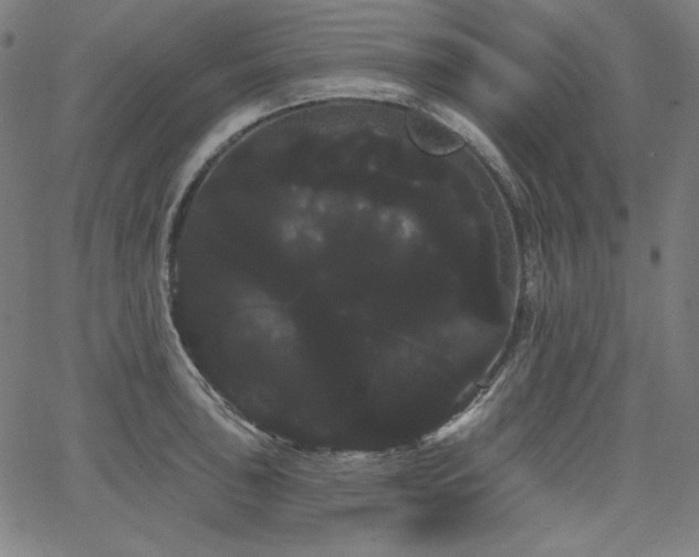 X0000066121043200603101230