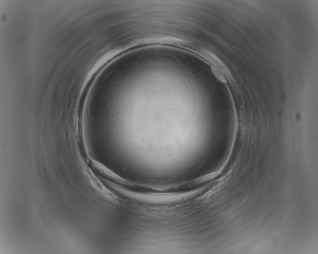 X0000066121044200603101230