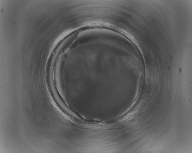 X0000066121045200603101230