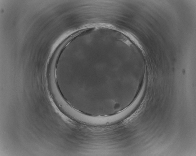 X0000066121046200603101230