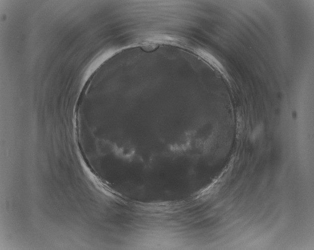 X0000066121047200603101230