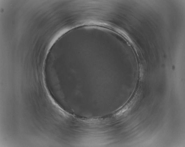 X0000066121048200603101230