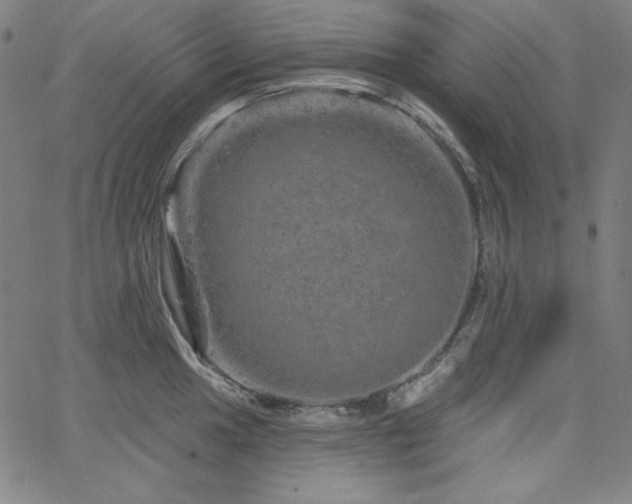 X0000066121049200603101230