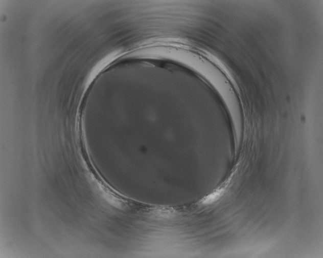 X0000066121050200603101231