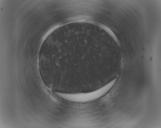 X0000066121051200603101231