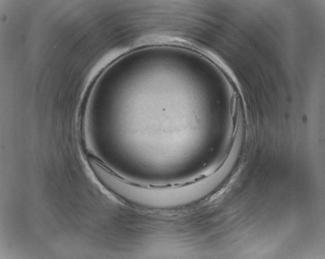 X0000066121053200603101231