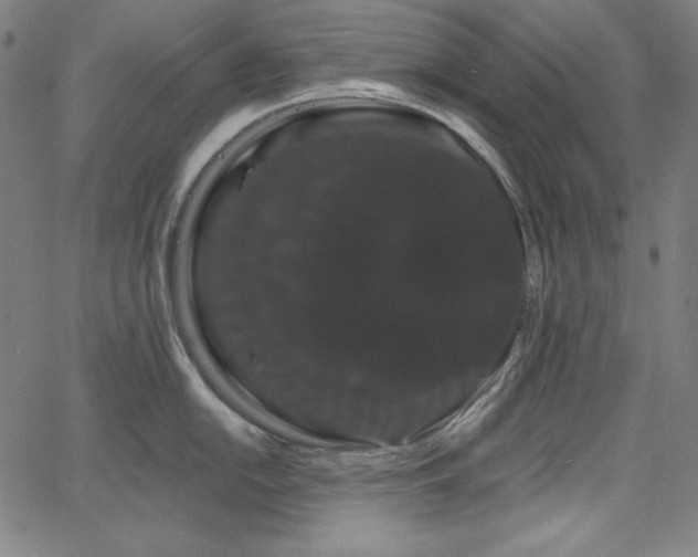 X0000066121054200603101231