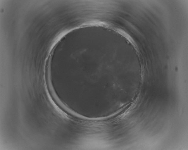 X0000066121055200603101231