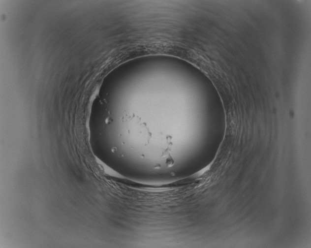 X0000066121057200603101230