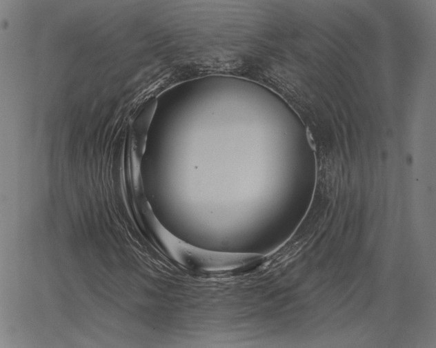 X0000066121058200603101230