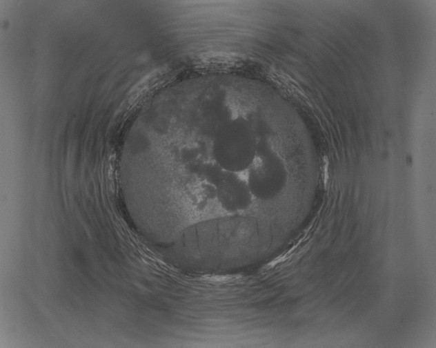 X0000066121059200603101230