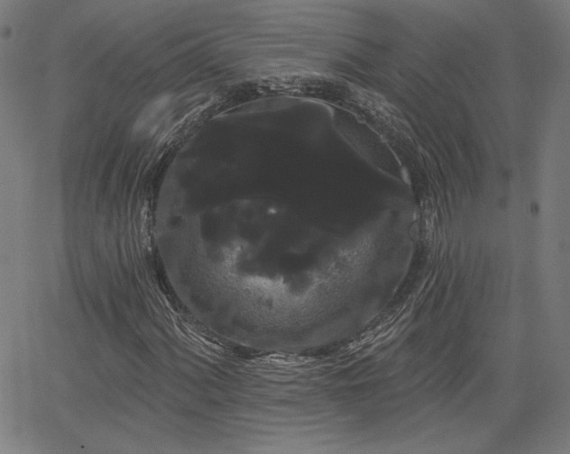 X0000066121060200603101230