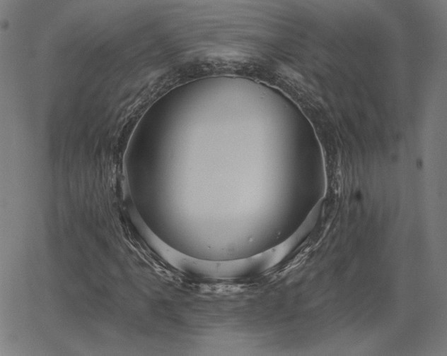 X0000066121061200603101230