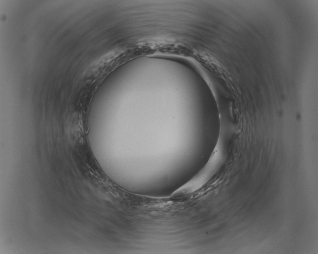 X0000066121062200603101230