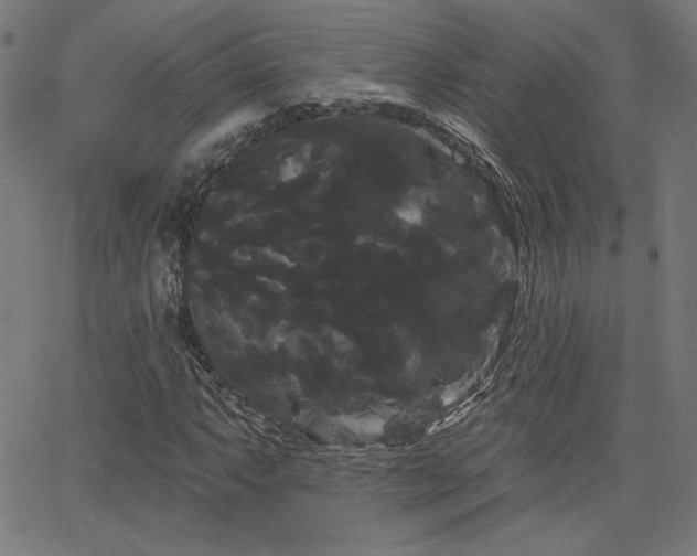 X0000066121063200603101230