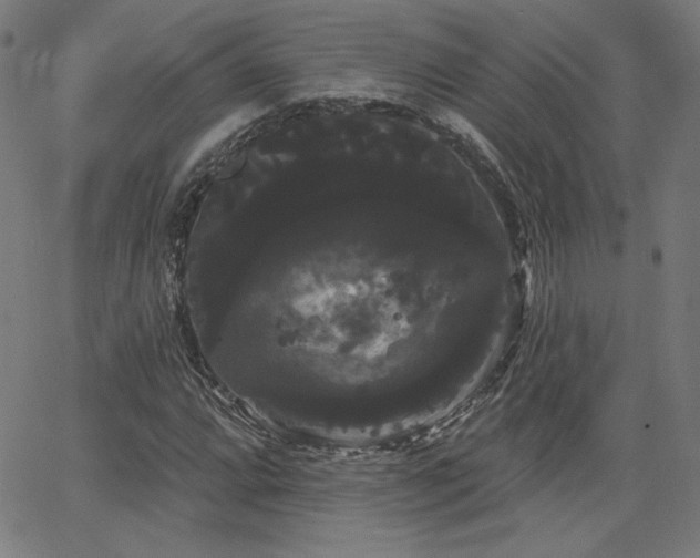 X0000066121064200603101230