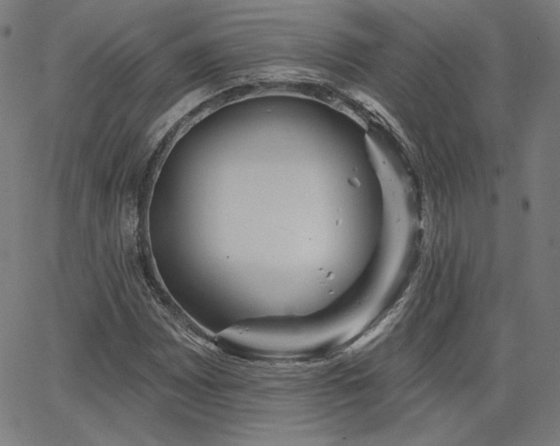 X0000066121065200603101230