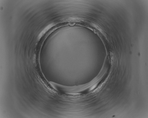 X0000066121066200603101230