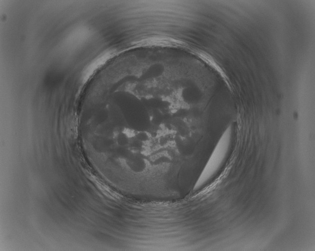 X0000066121067200603101230