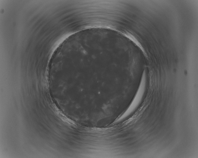 X0000066121068200603101230