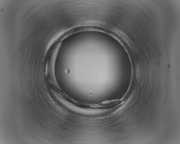 X0000066121069200603101230