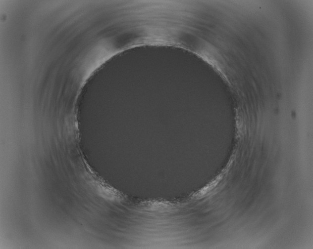 X0000066121070200603101230