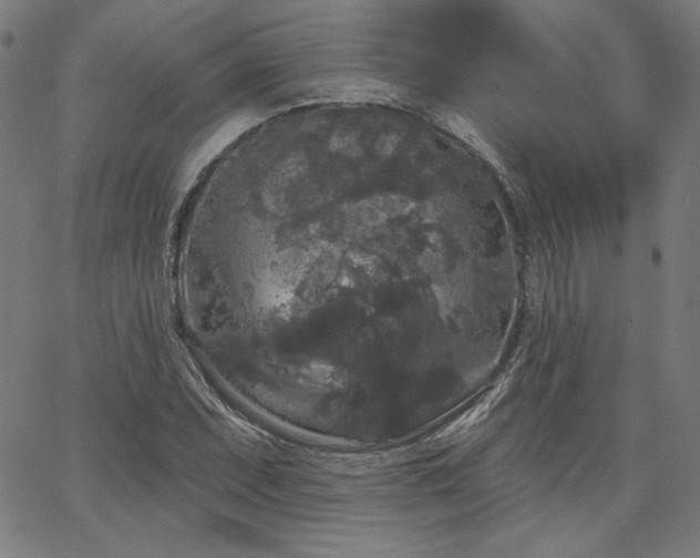 X0000066121071200603101230