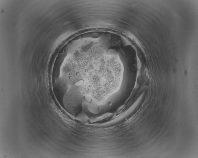 X0000066121072200603101230