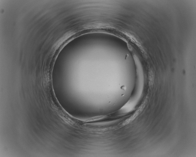 X0000066121073200603101230